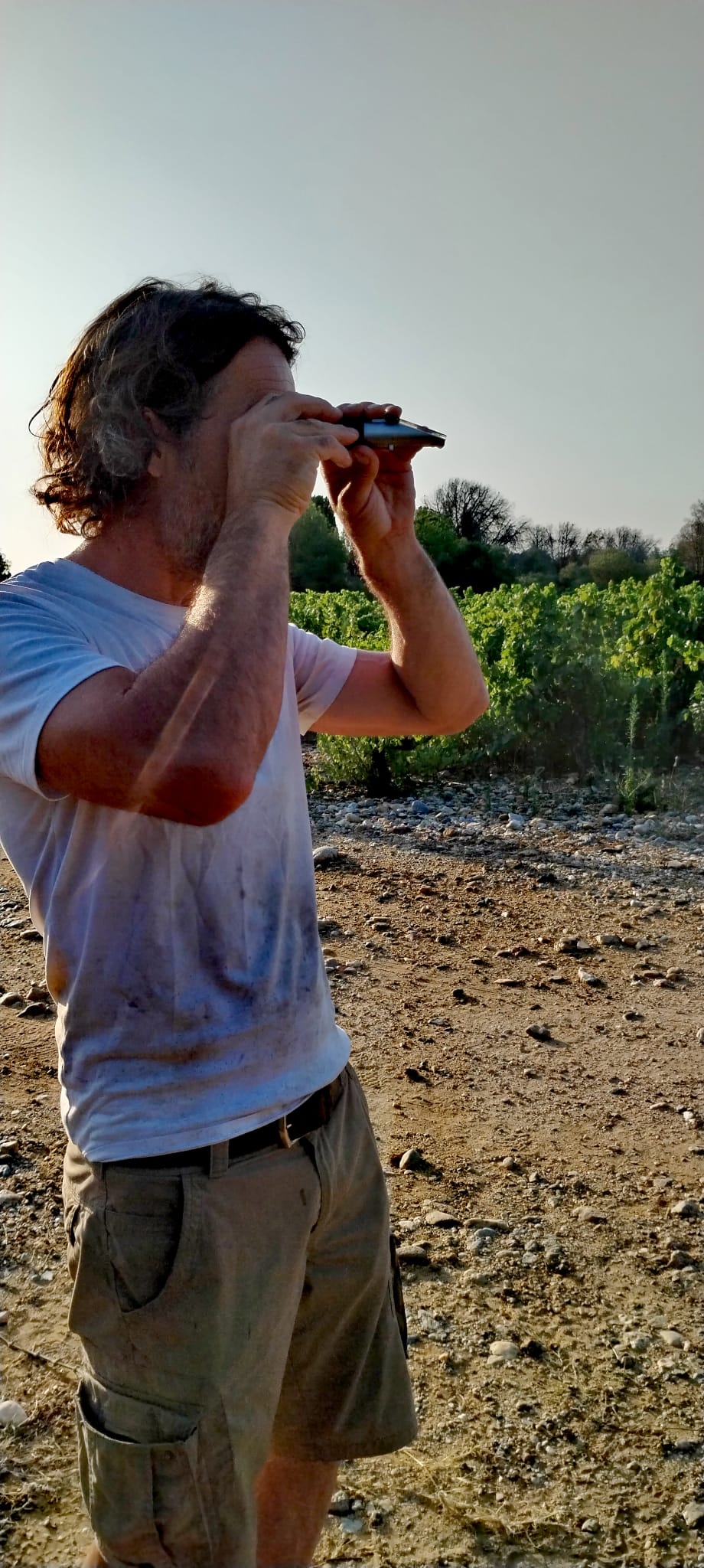 Le vigneron